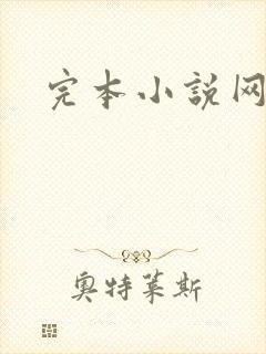 完本小说网