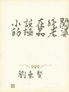 小说在线阅读我的极品老婆封面