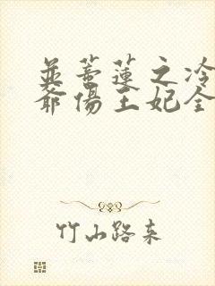 并蒂莲之冷酷王爷伤王妃全文阅读
