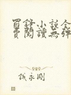 罗铮小说全文免费阅读无弹窗封面