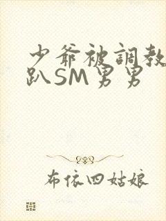 少爷被调教室跪趴SM男男