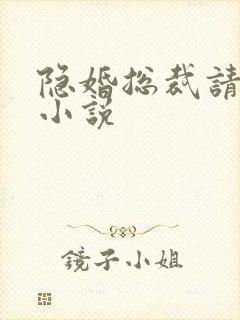 隐婚总裁请签字小说封面