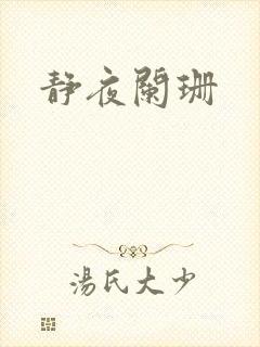 静夜阑珊