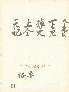 天上掉下个靖王妃全文免费阅读封面