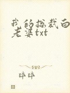 我的总裁白富美老婆txt
