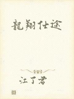 龙翔仕途封面