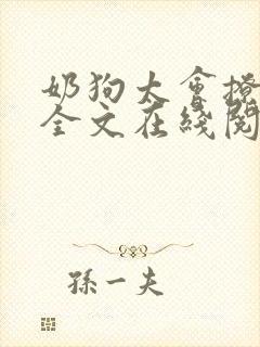 奶狗太会撩林衍全文在线阅读封面