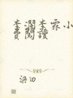 李澜李霖小说免费阅读