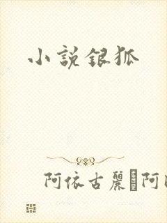 小说银狐封面