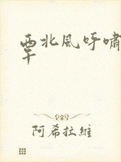 西北风呼啸的中午