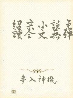 绍宋小说免费阅读全文无弹窗封面