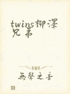 twins柳泽兄弟封面