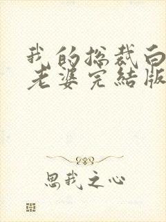 我的总裁白富美老婆完结版
