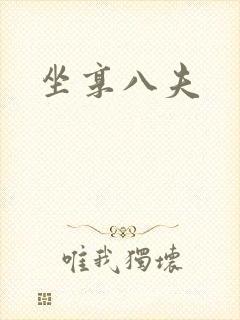 坐享八夫封面