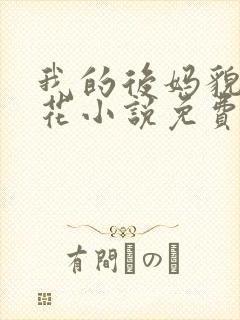 我的后妈貌美如花小说免费阅读全文无弹窗封面