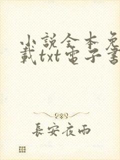 小说全本免费下载txt电子书txt