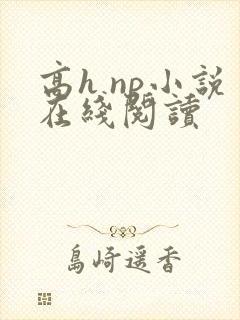 高h np小说在线阅读