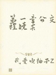第一章公交激战程晓柔