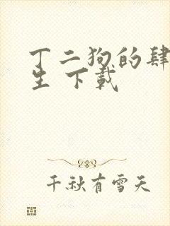 丁二狗的肆意人生 下载封面