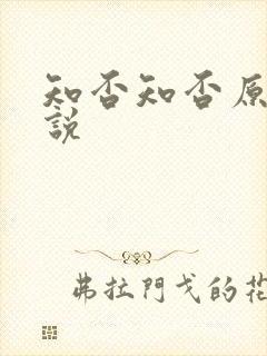 知否知否原著小说