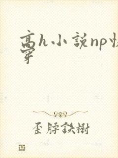 高h小说np快穿