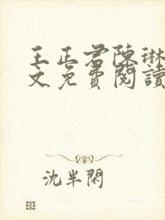 王正君陈琳洁全文免费阅读最新章节小说