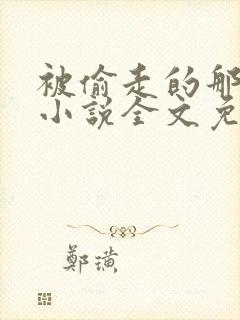 被偷走的那五年小说全文免费阅读