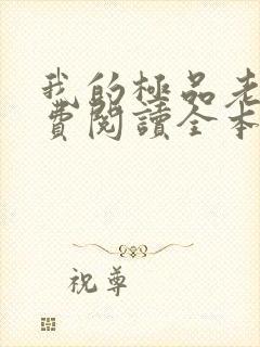 我的极品老婆免费阅读全本封面