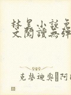 林昊小说免费全文阅读无弹窗封面