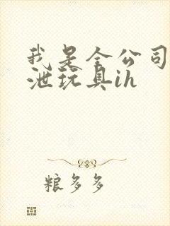我是全公司的发泄玩具ih封面