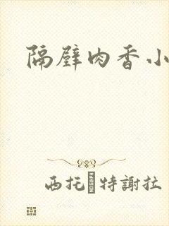 隔壁肉香小说
