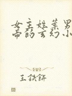 女主姓叶男主姓帝的玄幻小说封面