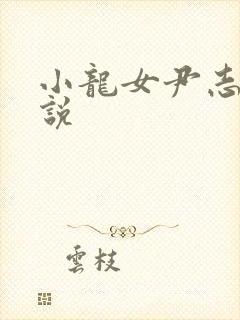 小龙女尹志平小说封面
