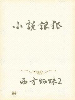 小说银狐