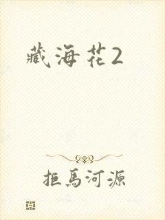 藏海花2