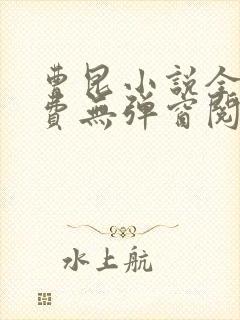 曹昆小说全文免费无弹窗阅读封面