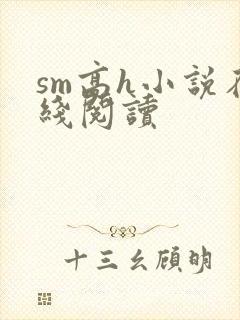 sm高h小说在线阅读