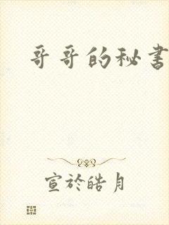 哥哥的秘书