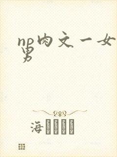np肉文一女多男