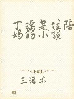 丁瑶是位陪读妈妈的小说