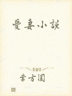 爱妻小说