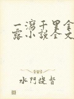 一泻千里金银花露小说全文免费阅读封面