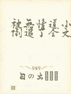 被无情道小师弟倒追了全文免费阅读