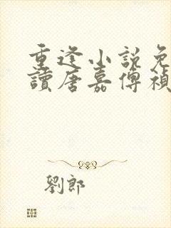 重逢小说免费阅读唐嘉傅祯的小说封面