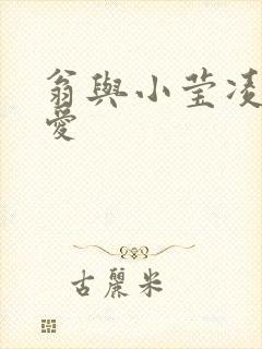 翁与小莹凌晨欢爱