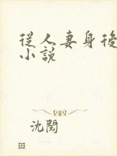 从人妻身后挺入小说封面