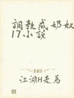 调教成奶奴1～17小说