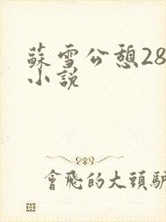 苏雪公憩28篇小说