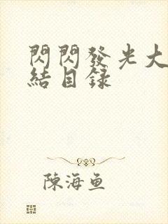闪闪发光大团圆结目录封面