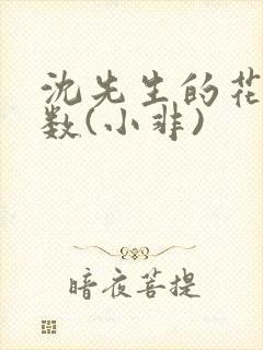 沈先生的花式调数(小非)